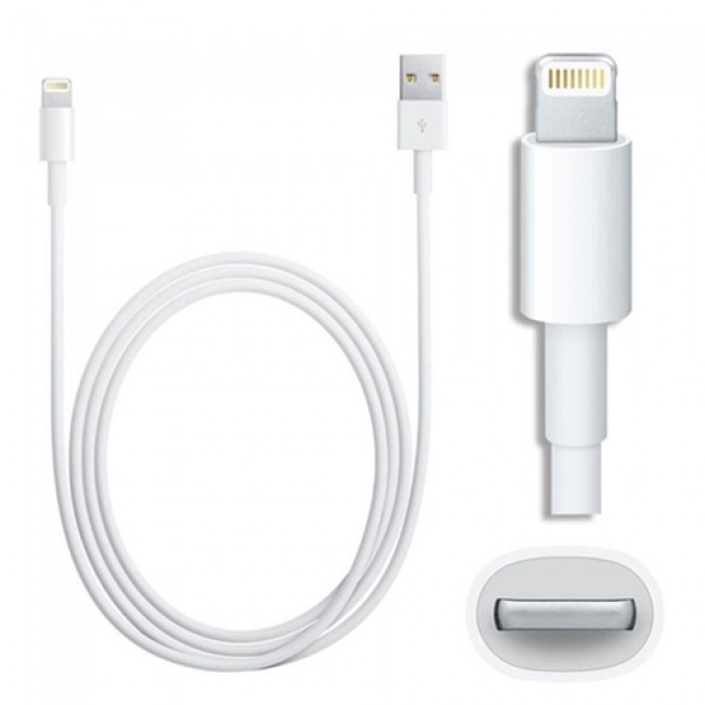 spectrum bewondering Encommium iPhone USB to Lightning Cable – Mailbox Plus